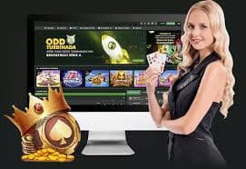 700 bet app